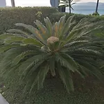 Vesna Apartamento